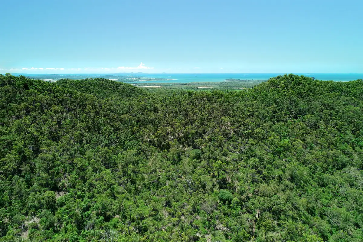 Main view of Homely rural property listing, 63 Tranquil Valley Road, Tungamull QLD 4702