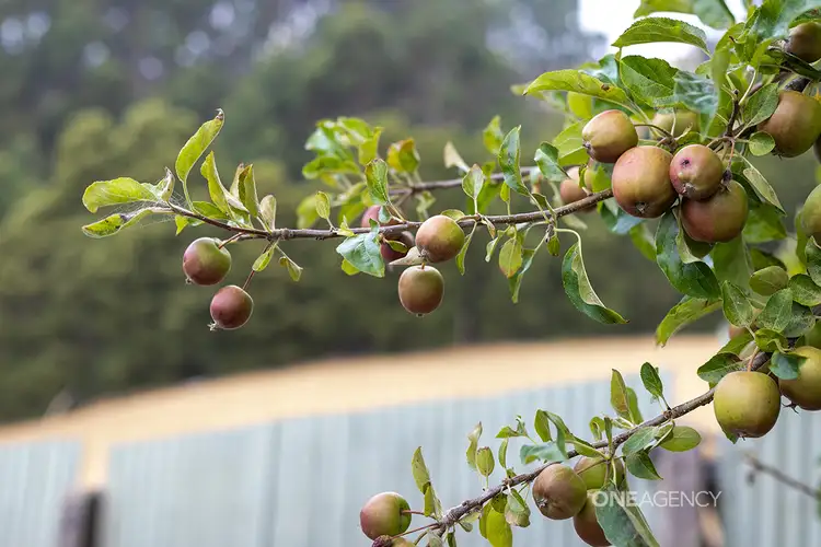 Third view of Homely house listing, 79 Collins Street, Brooklyn TAS 7320