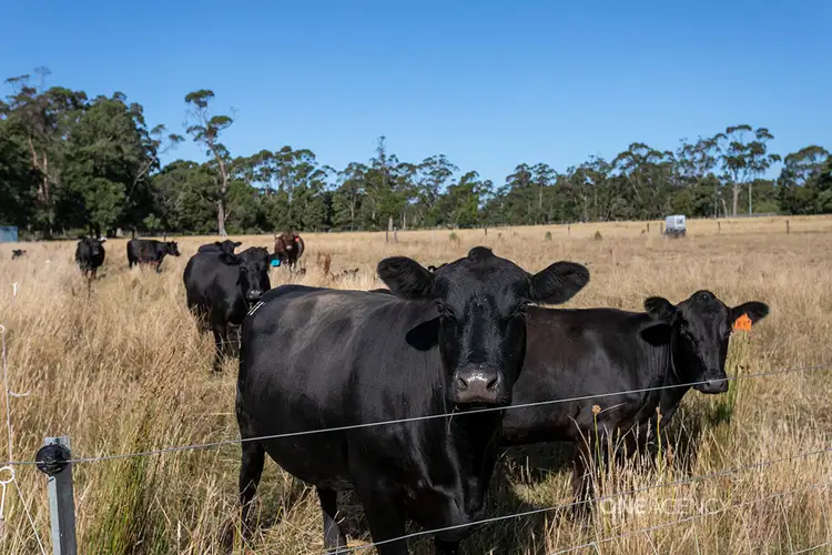 Second view of Homely land listing, 28a & 26 Oldina Road, Wynyard TAS 7325