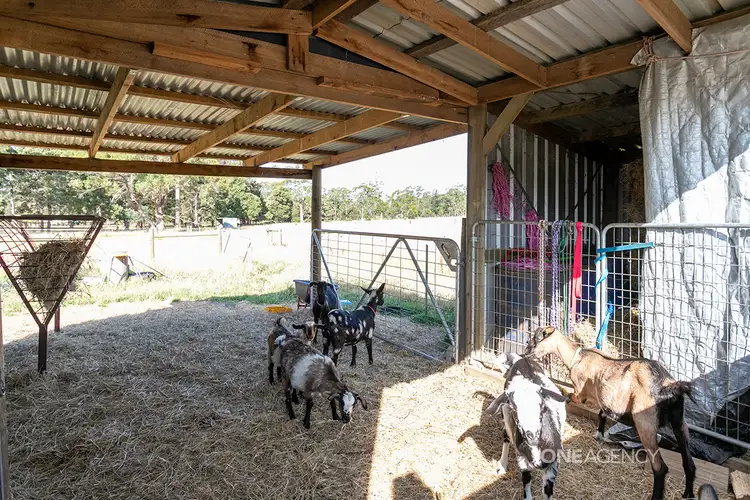 Fourth view of Homely land listing, 28a & 26 Oldina Road, Wynyard TAS 7325