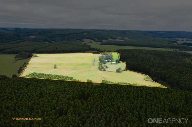 Fourth view of Homely rural property listing, 418 Armstrong Road, Roger River TAS 7330