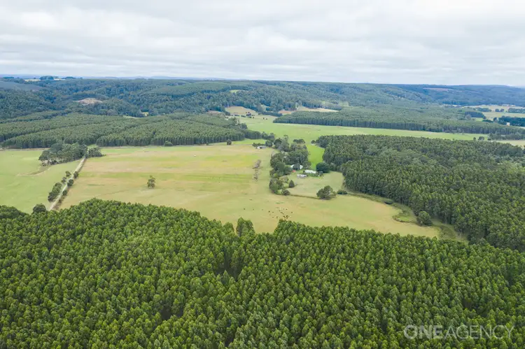 Fifth view of Homely rural property listing, 418 Armstrong Road, Roger River TAS 7330