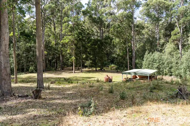 Main view of Homely rural property listing, 466 Reservoir Drive, Wynyard TAS 7325