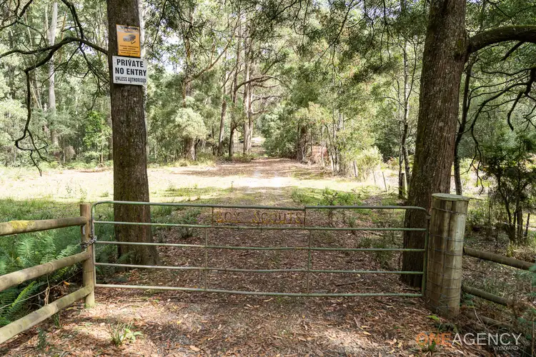 Fifth view of Homely rural property listing, 466 Reservoir Drive, Wynyard TAS 7325
