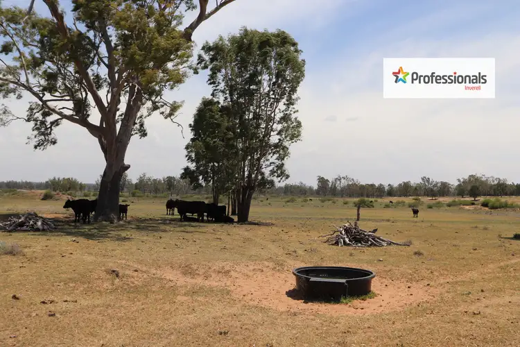 Fourth view of Homely rural property listing, 1560 Holdfast Road, Yetman NSW 2410