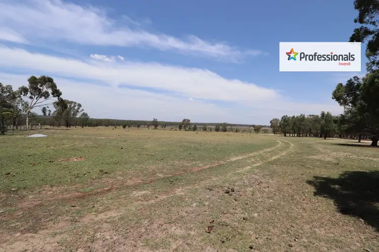 Fifth view of Homely rural property listing, 1560 Holdfast Road, Yetman NSW 2410