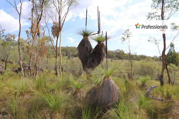 Second view of Homely rural property listing, Lot 1 2 5 6 15 & 25 Halls Lane, Nullamanna NSW 2360