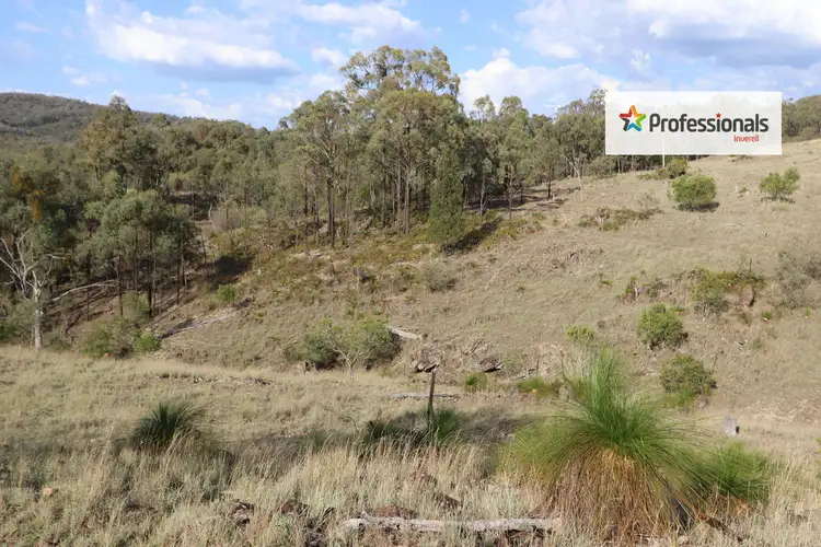 Fifth view of Homely rural property listing, Lot 1 2 5 6 15 & 25 Halls Lane, Nullamanna NSW 2360