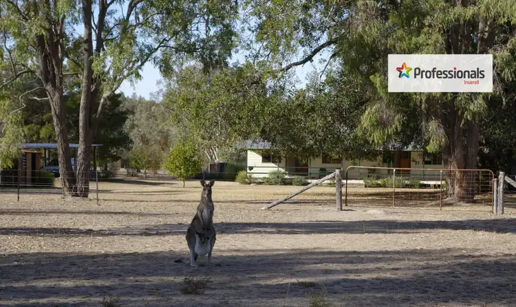 Fifth view of Homely rural property listing, 793 Limestone Road, Ashford NSW 2361