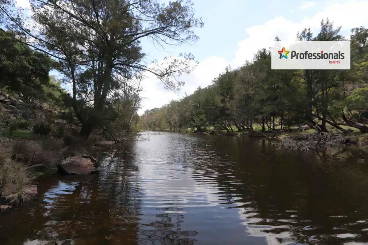 Main view of Homely rural property listing, Lot 7 Tangoa Road, Wellingrove NSW 2370