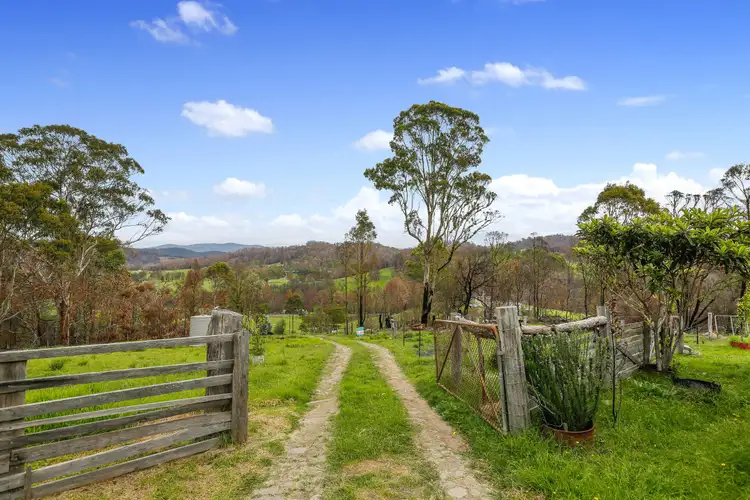 2858 Mt Darragh Road, Wyndham NSW 2550
