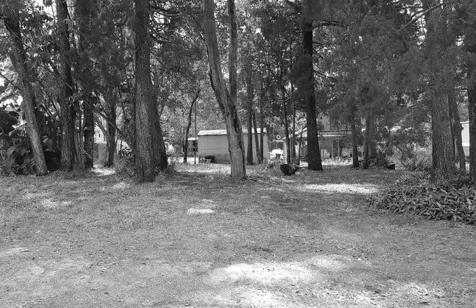 Main view of Homely land listing, 36 Shirley Street, Coochiemudlo Island QLD 4184