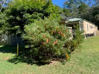 Fourth view of Homely house listing, 50 Elizabeth Street, Coochiemudlo Island QLD 4184