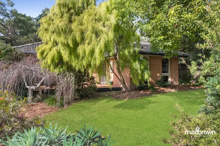 16 St James Avenue, Montrose VIC 3765