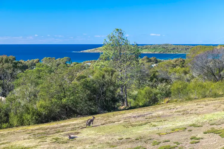 Third view of Homely house listing, 5 Wonnawong Place, Bawley Point NSW 2539