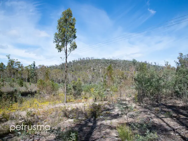 Sixth view of Homely land listing, 1 Sugarloaf Road, Forcett TAS 7173