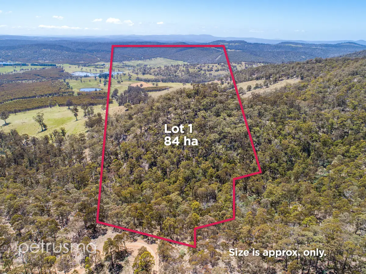 Main view of Homely land listing, LOT 1 Phipps Road, Runnymede TAS 7190
