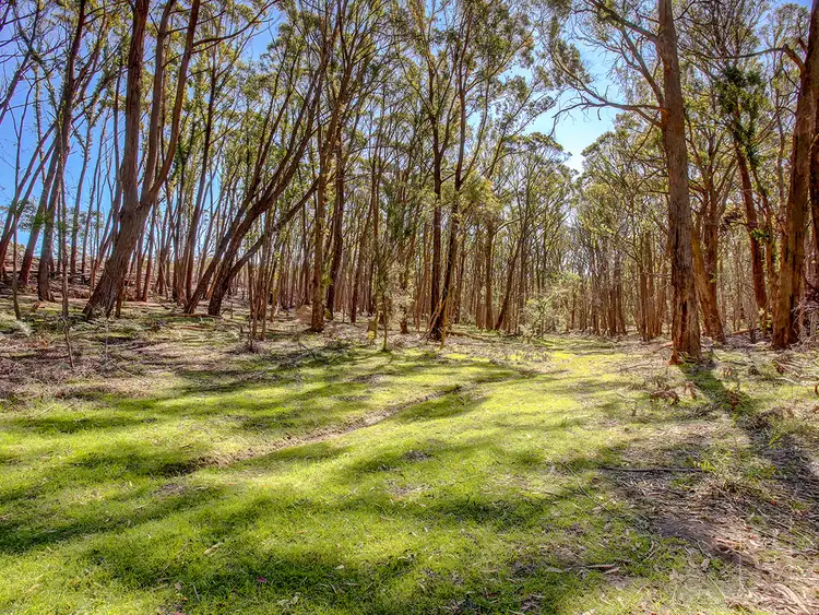 Second view of Homely rural property listing, 226 Warrima Drive, Tallong NSW 2579