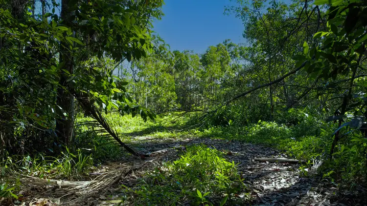 Fourth view of Homely land listing, LOT 4 Pine Creek Road, East Trinity QLD 4871