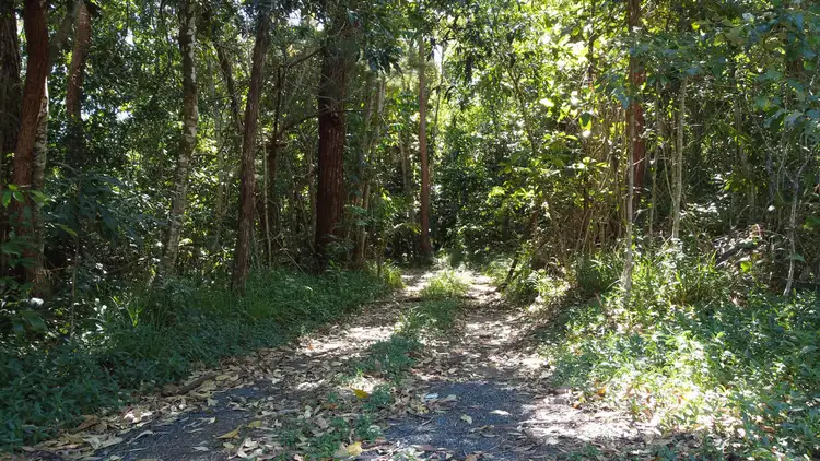 Fifth view of Homely land listing, LOT 4 Pine Creek Road, East Trinity QLD 4871