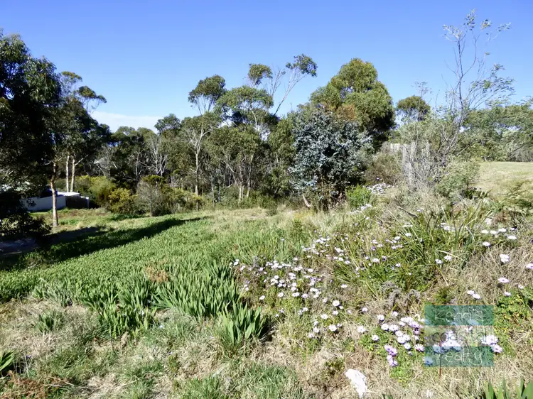 3 Reedy Road, Beaumaris TAS 7215