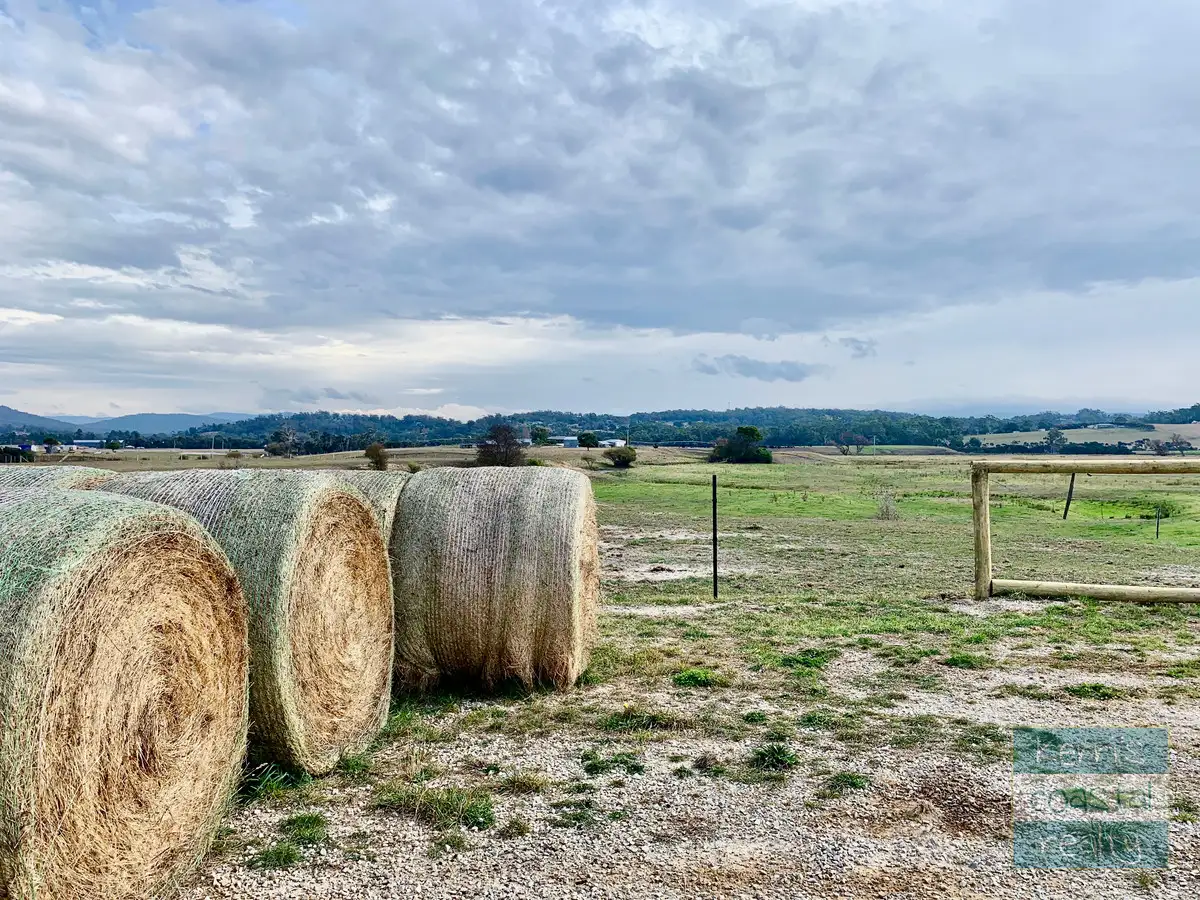 Main view of Homely rural property listing, 120 Cecilia Street, St Helens TAS 7216