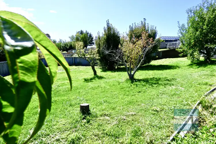Fourth view of Homely house listing, 19 Cameron Street, St Helens TAS 7216