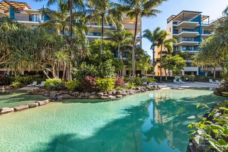 236/21 Wirraway Street, Alexandra Headland QLD 4572