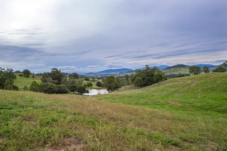 Fifth view of Homely rural property listing, 1006 Rouchel Road, Rouchel NSW 2336