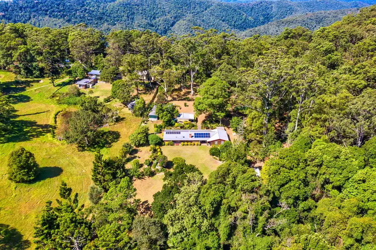 Fourth view of Homely rural property listing, 1842 Springbrook Road, Springbrook QLD 4213