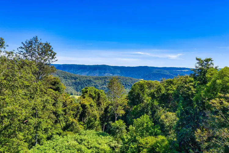 Fifth view of Homely rural property listing, 1842 Springbrook Road, Springbrook QLD 4213