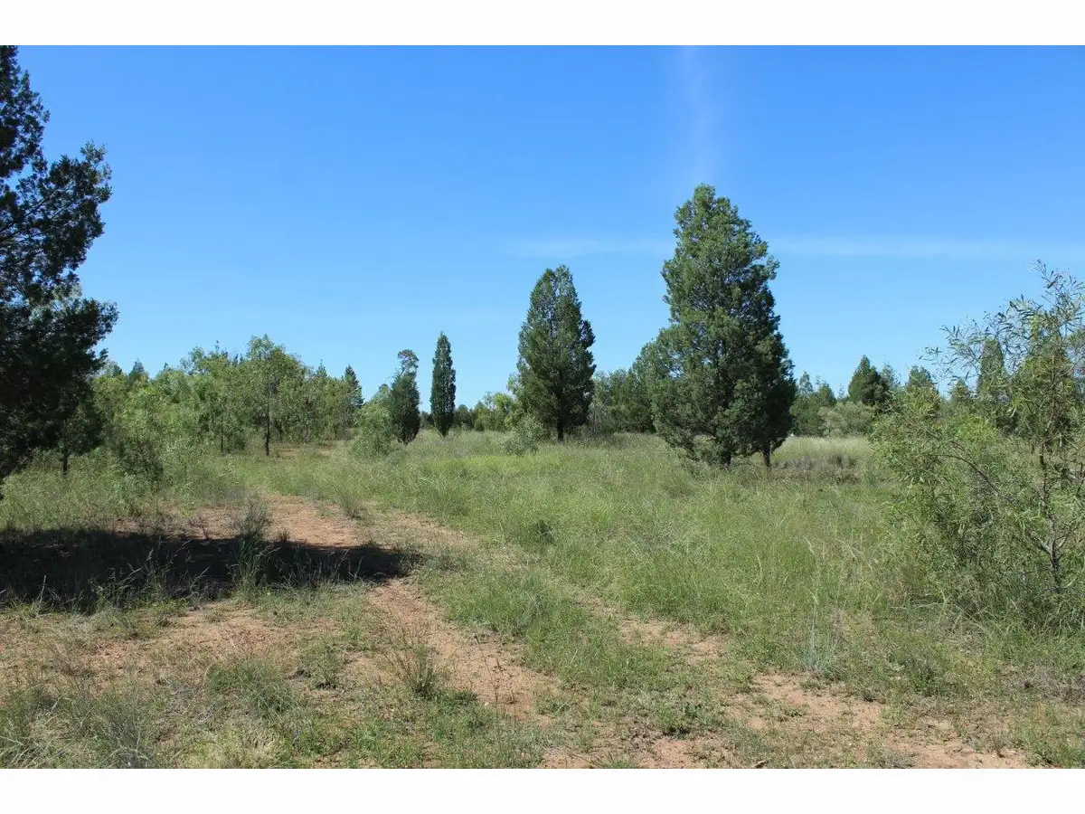 Main view of Homely land listing, Hunts Road, Gunnedah NSW 2380