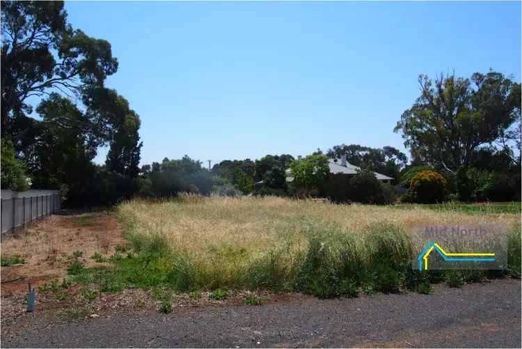 2 Griffen Court, Riverton SA 5412