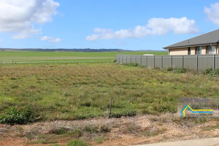 Main view of Homely land listing, 7 Cook Avenue, Blyth SA 5462