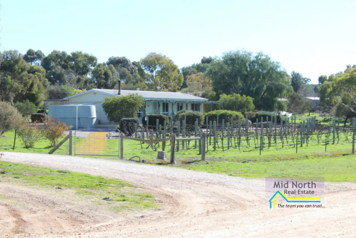 Main view of Homely house listing, 17 Dennis Road, Auburn SA 5451