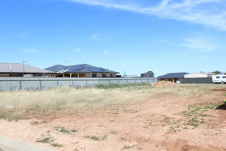 20 Cook Avenue, Blyth SA 5462
