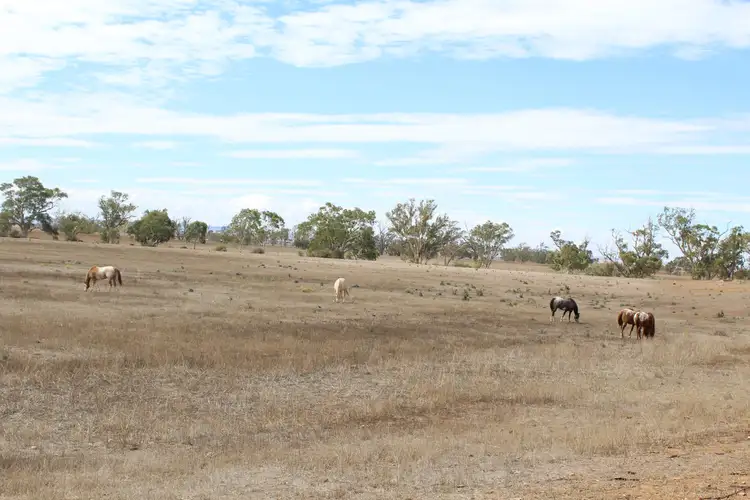 Fourth view of Homely rural property listing, 744 Templeton Road, Whitwarta SA 5461