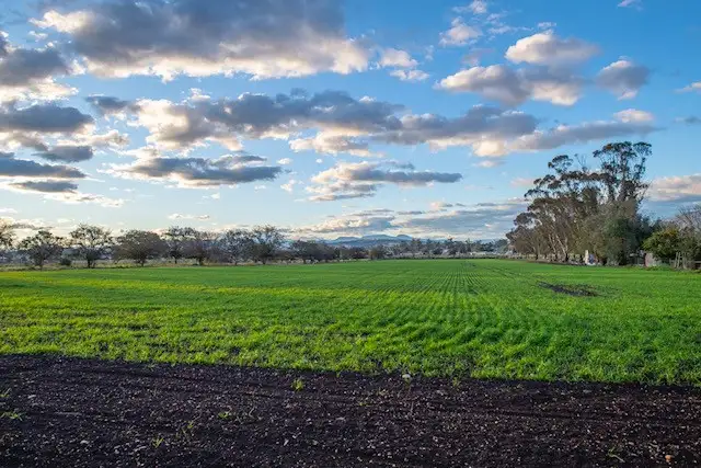 80 Moobi Road, Scone NSW 2337