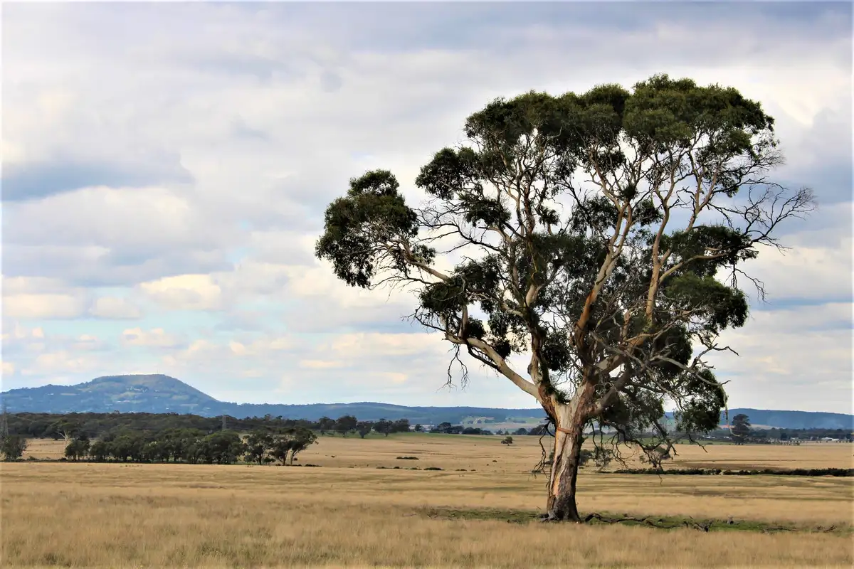 Main view of Homely rural property listing, Lightfoot Lane, Napoleons VIC 3352