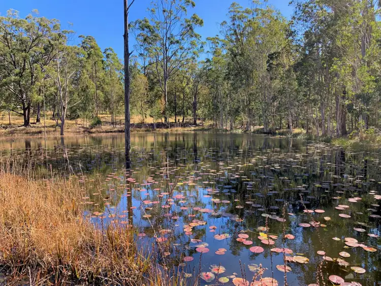 Fifth view of Homely rural property listing, Barry's Bridge Road, Pillar Valley NSW 2462