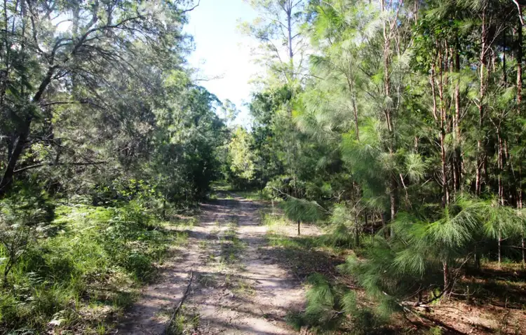 Sixth view of Homely rural property listing, Barry's Bridge Road, Pillar Valley NSW 2462