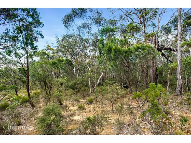 Sixth view of Homely land listing, 3 Clarendon Street, Wentworth Falls NSW 2782