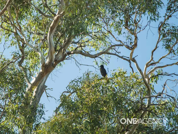 Fifth view of Homely land listing, 20 Hardwicke Street, Summerhill TAS 7250