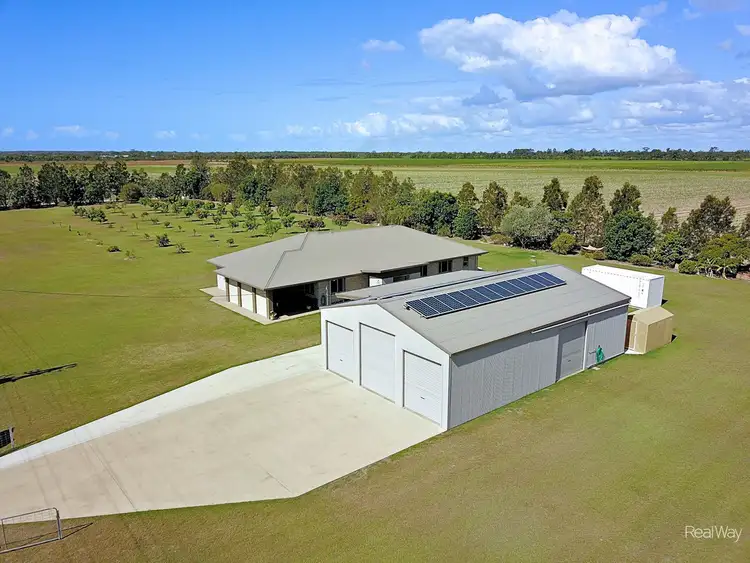 141 Nedwich Road, Alloway QLD 4670