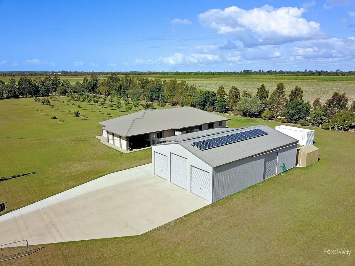 Main view of Homely house listing, 141 Nedwich Road, Alloway QLD 4670