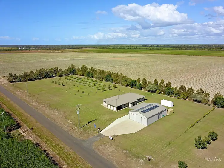 Seventh view of Homely house listing, 141 Nedwich Road, Alloway QLD 4670