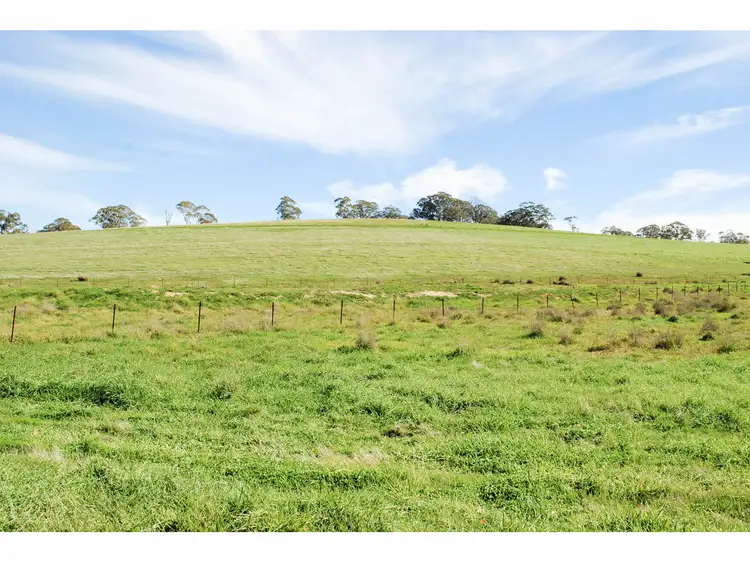 Sixth view of Homely rural property listing, 'Hillfarm' 2249 Errowanbang Road, Forest Reefs NSW 2798