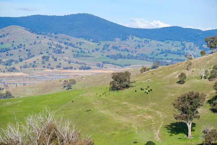 Seventh view of Homely rural property listing, River Road, Talmalmo NSW 2640