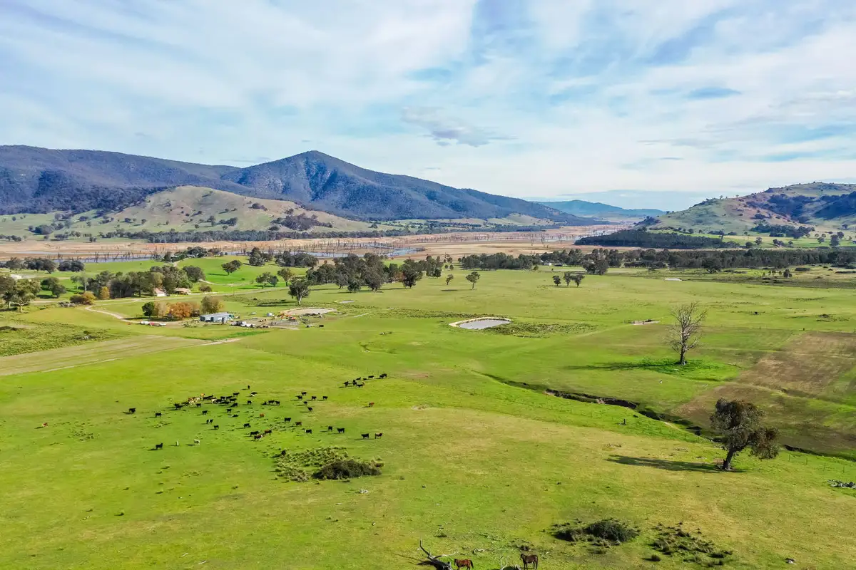 Main view of Homely rural property listing, 2445 Wymah Road, Wymah NSW 2640