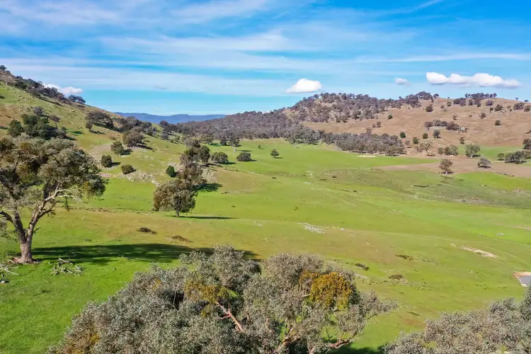 Second view of Homely rural property listing, 2445 Wymah Road, Wymah NSW 2640